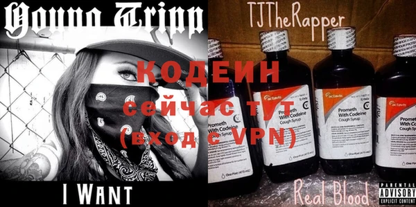 apvp Сафоново