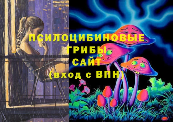 ECSTASY Рославль