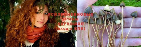 экстази Дегтярск