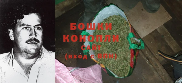 ECSTASY Рославль