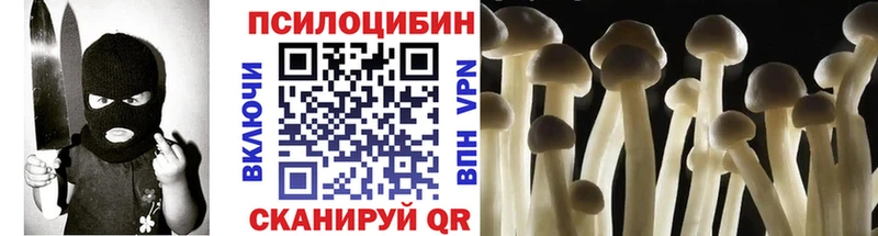Псилоцибиновые грибы Cubensis  Купить закладки  Зарайск 
